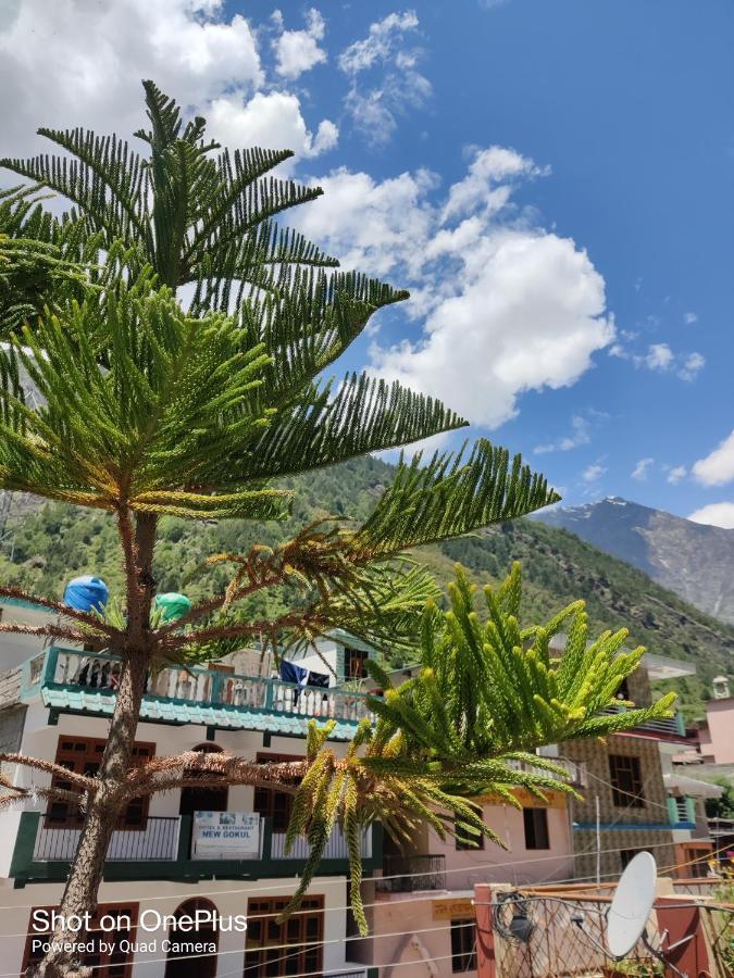 Hari Krishna Guest House Pandukeshwar Екстер'єр фото